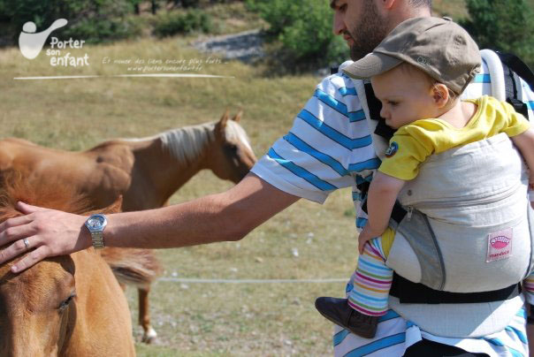 manduca-dos-cheval